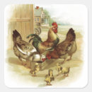 Search for vintage chicks stickers Farm