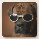 Search for small dog coasters Domestic animals