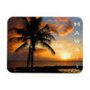 Search for shore magnets Oahu