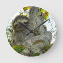 Search for sloth image art Cute