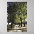 Search for forrest posters Green