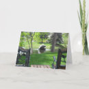 Search for blank sympathy cards Floral