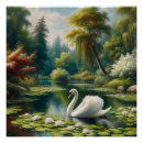 Search for beautiful swan art Elegant