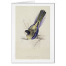 Search for edward lear Birds