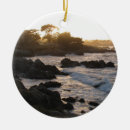 Search for monterey california christmas tree decorations Landscape