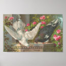 Search for white pigeon posters Black