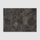 Search for seashell tissue paper Nautical