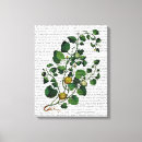 Search for squash art Vine
