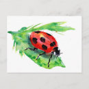Search for lady bug postcards Nature