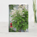 Search for trellis cards Floral