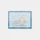 Search for sea otter Young animal