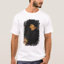 Search for erasmus tshirts 16th