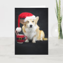 Search for cap christmas cards Dog