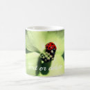 Search for dogwood flower mugs Nature