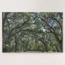 Search for live oak Trees