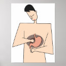 Search for stomach Health