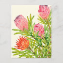 Search for watercolour painting postcards Botanical