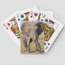 Search for danita delimont playing cards National park