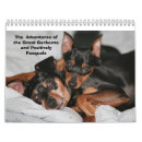 Search for miniature calendars Dog