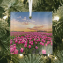 Search for holland christmas tree decorations Netherlands