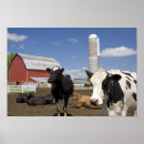 Search for barn farm posters United states