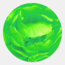 Search for fashion business stickers Design