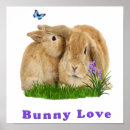 Search for rabbit lover posters Animal lovers