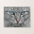 Search for grey cat puzzles Blue eyes