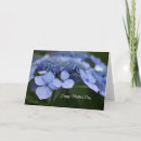 Search for hydrangea mothers day cards Mum