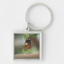 Search for macro key rings Nature