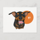 Search for min postcards Miniature pinscher