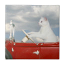 Search for cats tiles Fun
