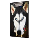 Search for husky clipboards Dog