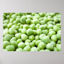 Search for pea posters Vegetable