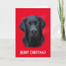 Search for black lab christmas cards Cute