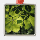 Search for italia christmas tree decorations Green
