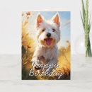Search for west highland white terrier Dog lover