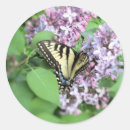 Search for eastern tiger swallowtail butterfly stickers Flower