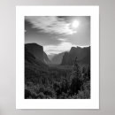 Search for black and white sun posters Trees