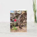 Search for flower wheels postcards Vintage