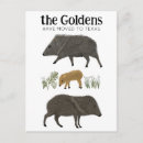 Search for texas postcards Modern