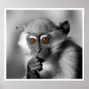 Search for monkey lovers posters Primate
