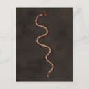 Search for aboriginal postcards Australian outback