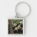 Search for china panda key rings Fauna