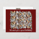 Search for fun cat birthday cards Kitten