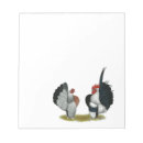 Search for serama Chicken