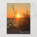 Search for captiva postcards Sanibel