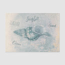 Search for sea shells tissue paper Beach