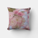 Search for pink cherry blossom cushions Illustration