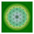 Search for mandalas posters Reiki